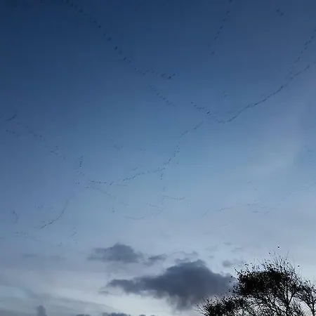 Kleines Haeuschen Am Deich, Vor Den Toren Von Sylt Σπίτι διακοπών Emmelsbüll-Horsbüll