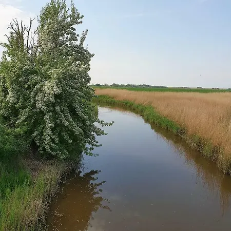 Kleines Haeuschen Am Deich, Vor Den Toren Von Sylt *