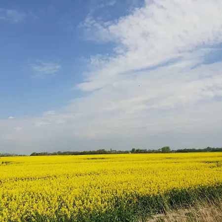 Kleines Haeuschen Am Deich, Vor Den Toren Von Sylt *