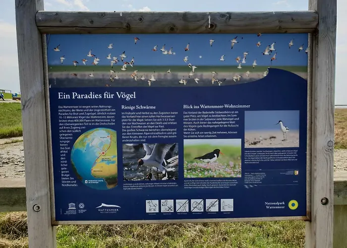 Kleines Haeuschen Am Deich, Vor Den Toren Von Sylt